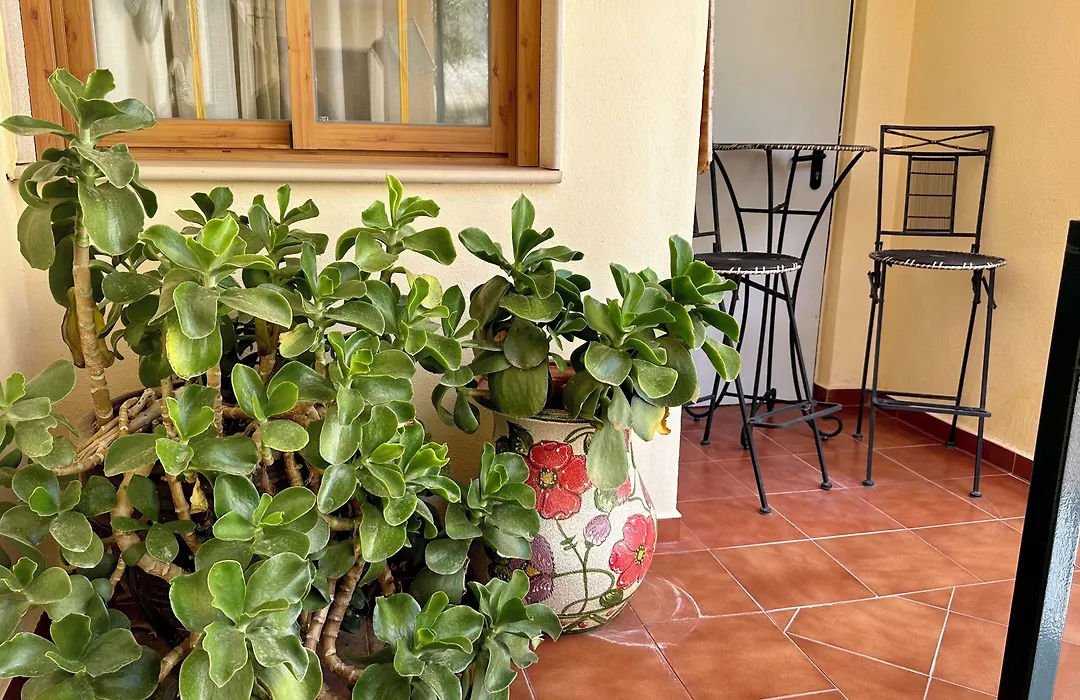 Hotel El Curro-1